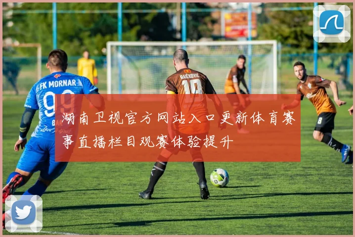 湖南卫视官方网站入口更新体育赛事直播栏目观赛体验提升