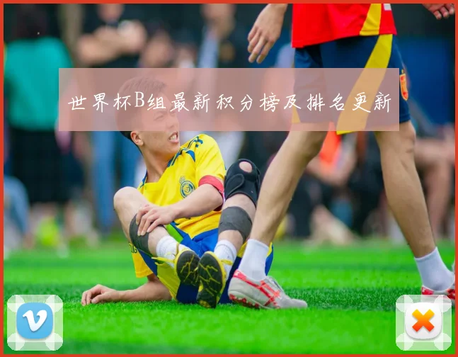世界杯B组最新积分榜及排名更新